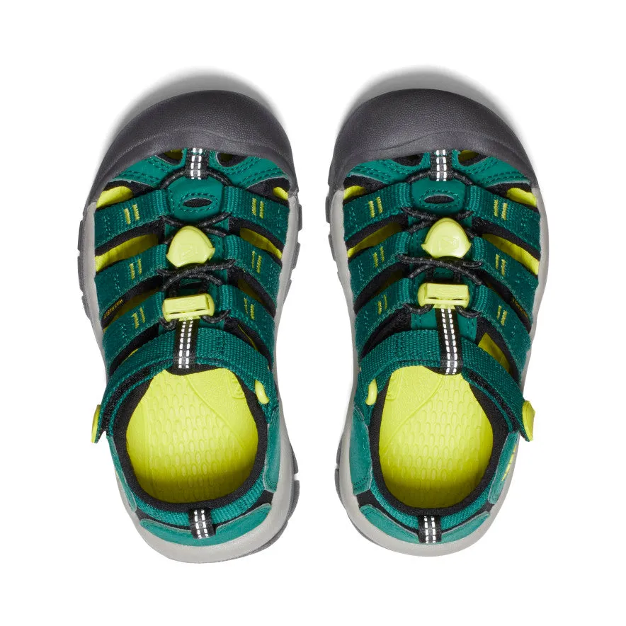 Little Kids' Newport H2  |  Aventurine/Evening Primrose