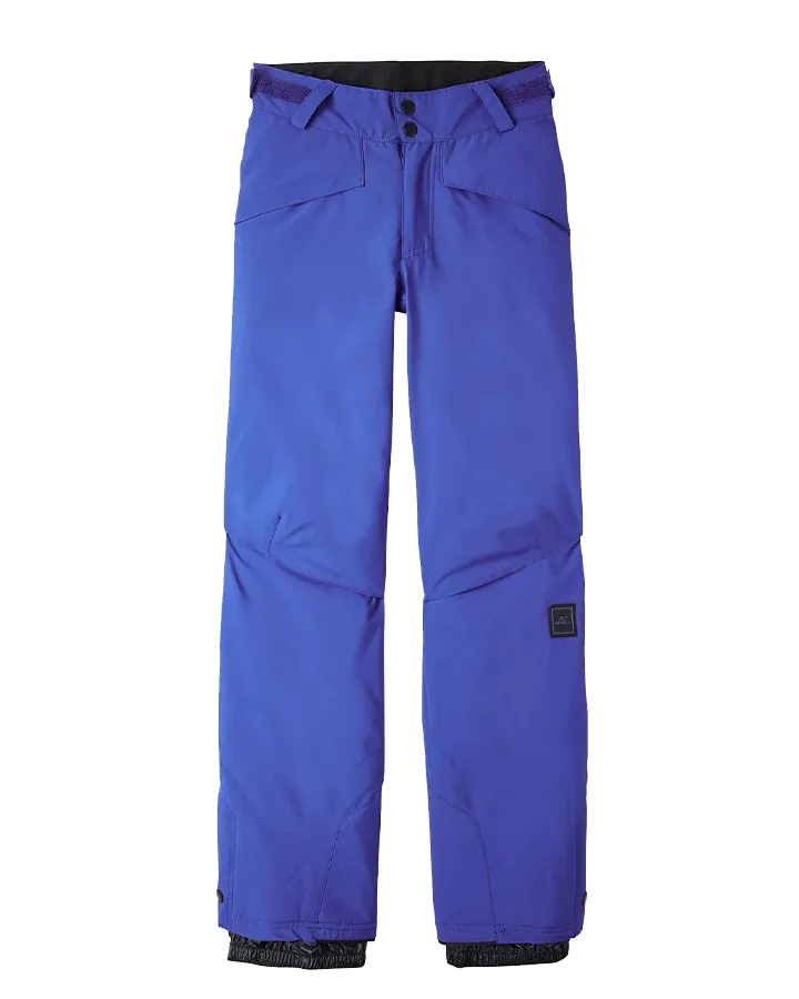 O'Neill Kids' Hammer Pants - Surf The Web Blue