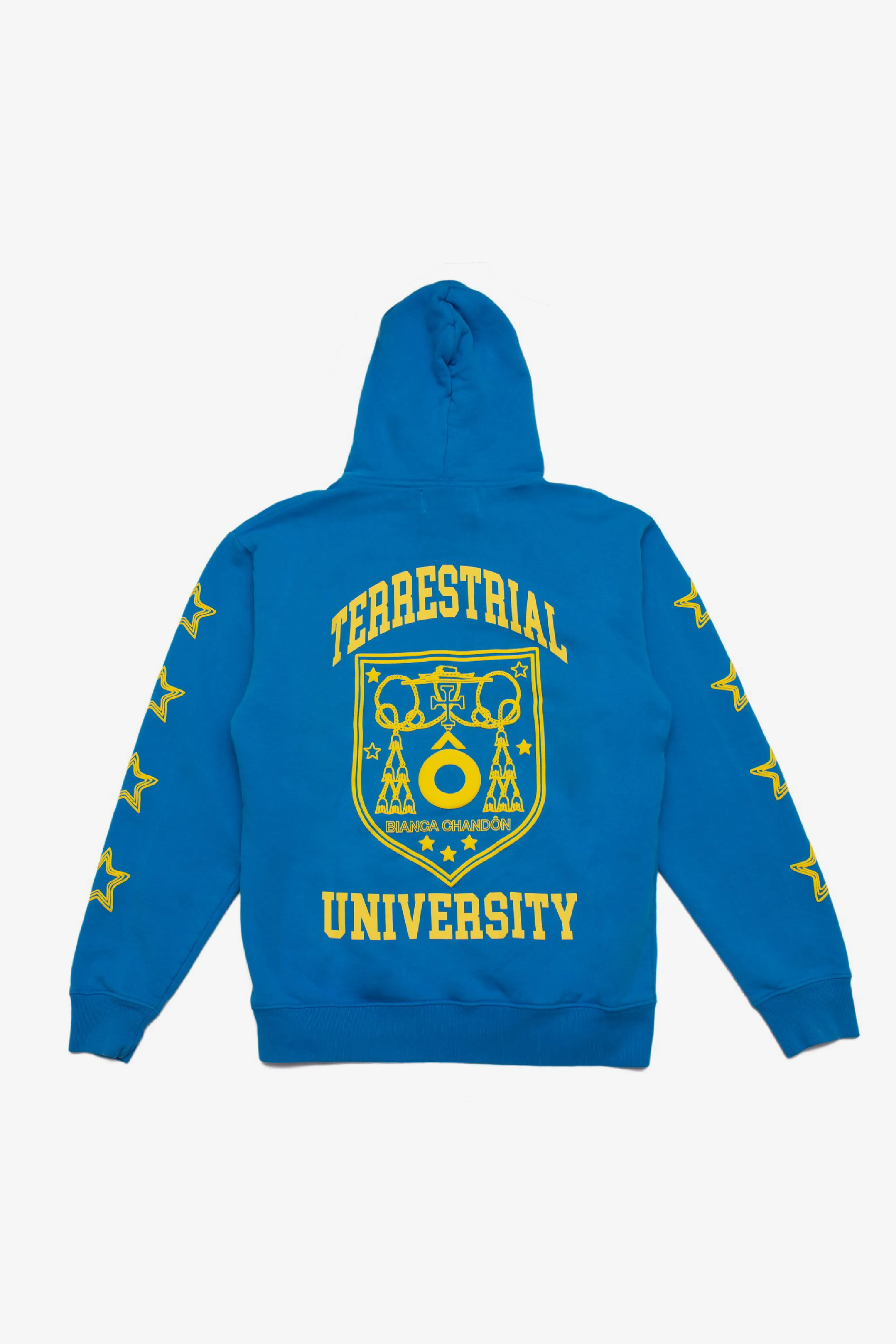 Terrestial University Pullover Hood